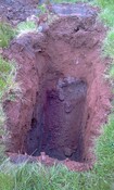 ALI11_20110629_009.jpg