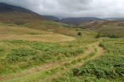 ALI11_20110718_022.jpg