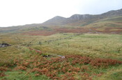 ALI11_20111005_047.jpg