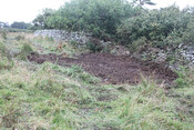 photo 1.jpg