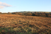 photo 12.jpg