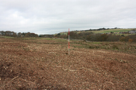 photo 13.jpg