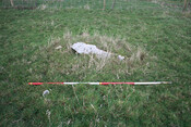 photo 14.jpg