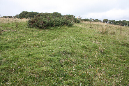 photo 15.jpg