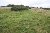 photo 15.jpg