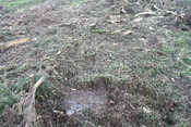 photo 16.jpg