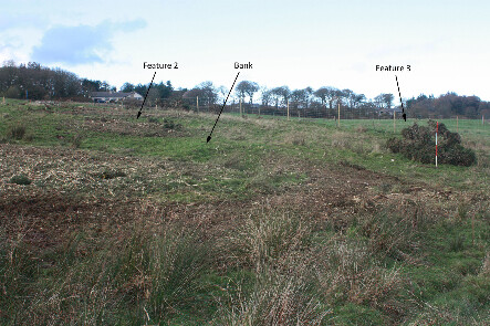 photo 17.jpg