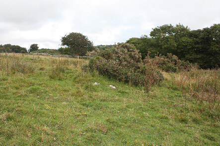 photo 19.jpg
