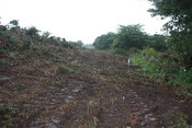 photo 2.jpg