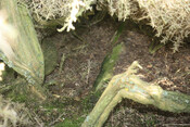 photo 20.jpg