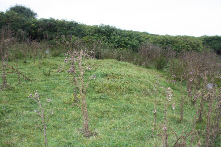 photo 21.jpg