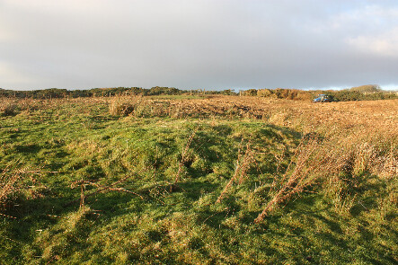 photo 22.jpg