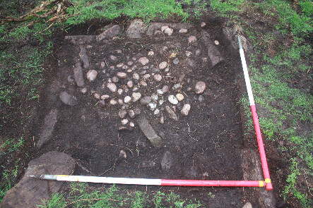 photo 25.jpg