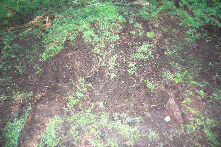Photo 26.jpg
