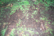 Photo 26.jpg