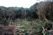 photo 27.jpg