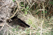 photo 29.jpg