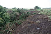 photo 3.jpg
