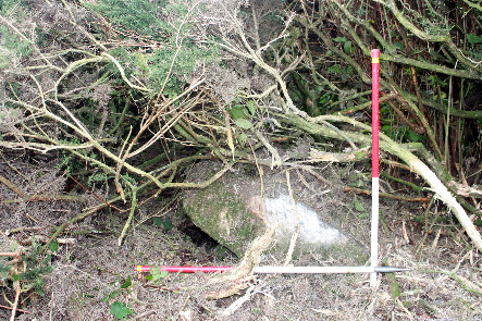 photo 30.jpg