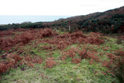 photo 34.jpg