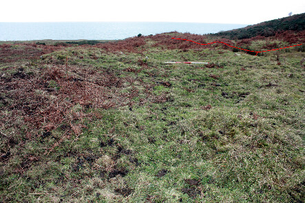 photo 36.jpg