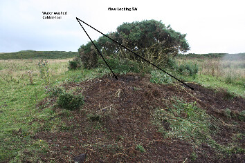 photo 4.jpg