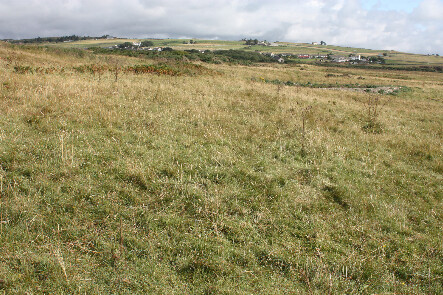 photo 42.jpg