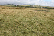 photo 42.jpg