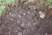 photo 5.jpg
