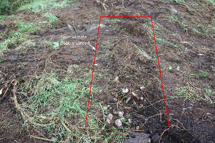photo 7.jpg
