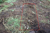 photo 7.jpg