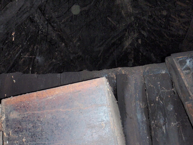 P6160579.jpg