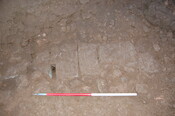 BULL-2.JPG