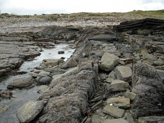 DSCN1765.JPG
