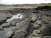 DSCN1765.JPG