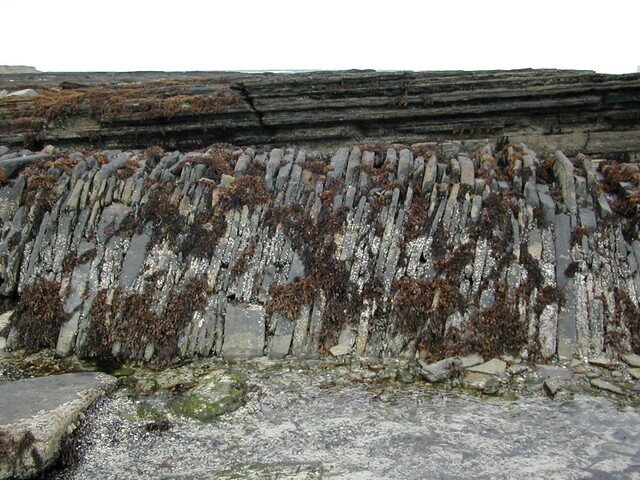 DSCN1766.JPG