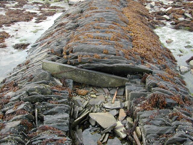 DSCN1767.JPG
