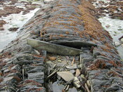 DSCN1767.JPG