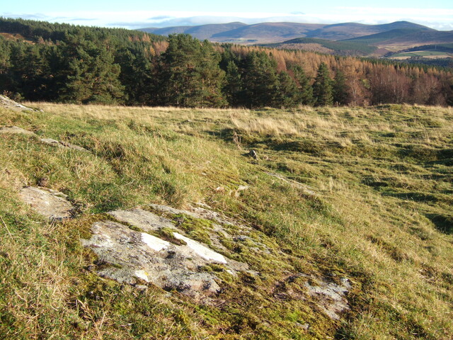 MHG6774_1 facing east.JPG