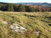 MHG6774_1 facing east.JPG