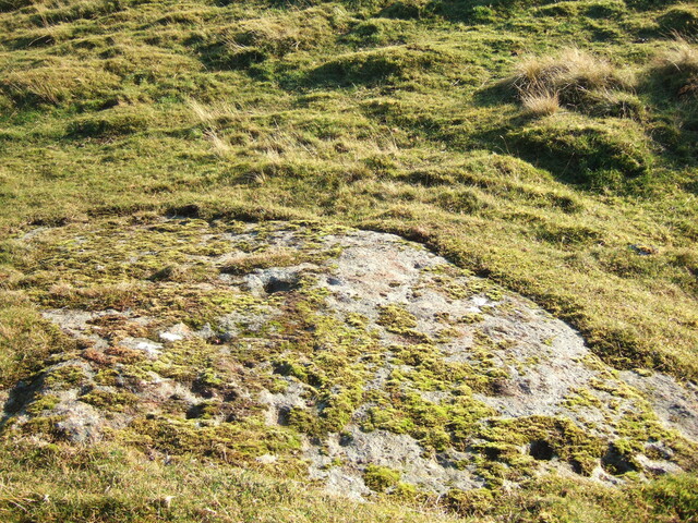 MHG6774_2 facing SE.JPG