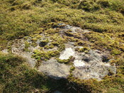 MHG6774_3 detail, facing SE.JPG