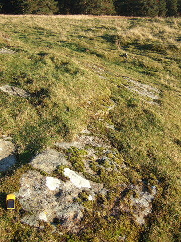 MHG6774_4 detail, facing East.JPG