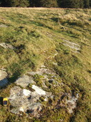 MHG6774_4 detail, facing East.JPG