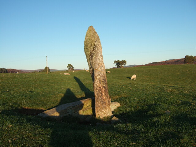 MHG6788_1.JPG