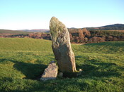 MHG6788_2.JPG
