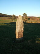 MHG6789_1.JPG