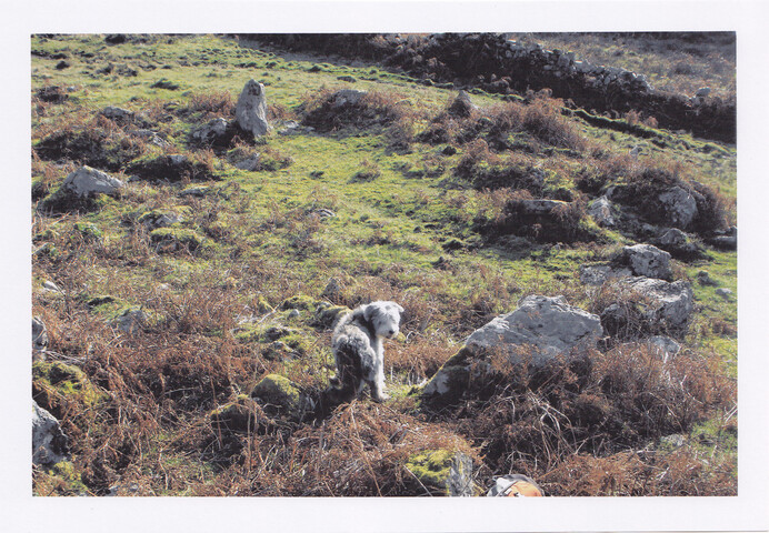CT-SS 20 Point of Sleat hut circle 1 - TG.jpg