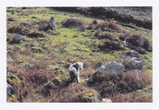 CT-SS 20 Point of Sleat hut circle 1 - TG.jpg