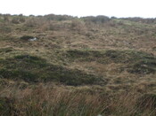 MHG5303 Ashaig burnt mound.jpg
